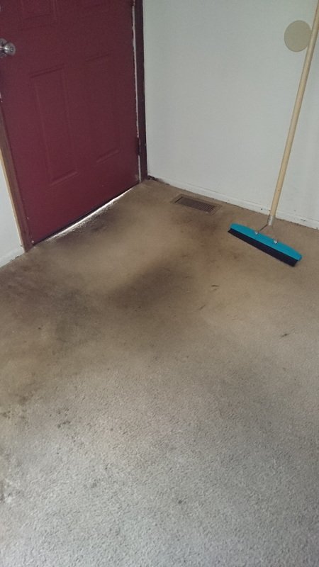 Dirty carpet before cleaning